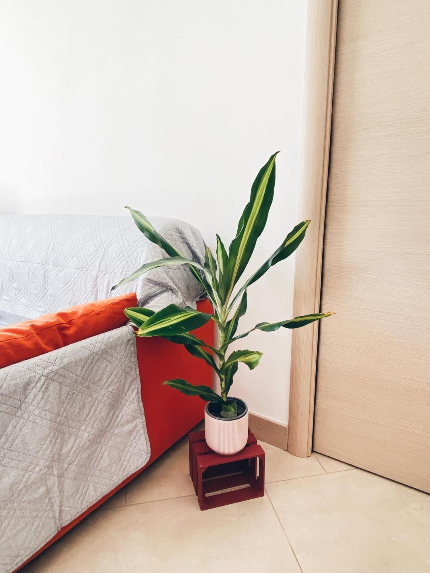 Apartment In Siena With Private Parking Bagian luar foto